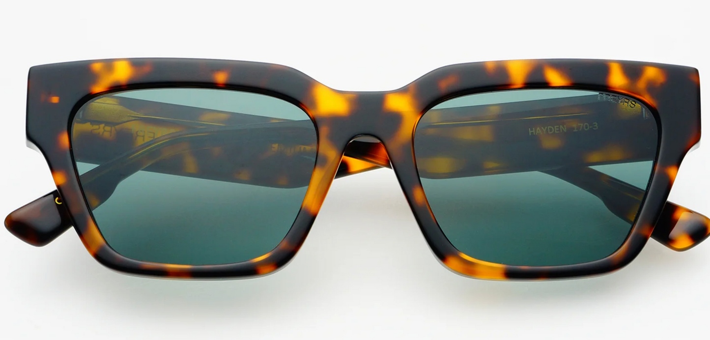 Hayden-Brown Tortoise