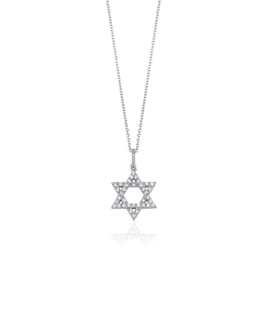 DIAMOND DAVID STAR NECKLACE